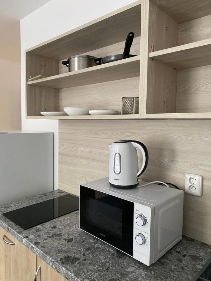 Apartmany Plzen Zborovska 22 A ภายนอก รูปภาพ